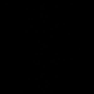 Meet your Posher, Benie